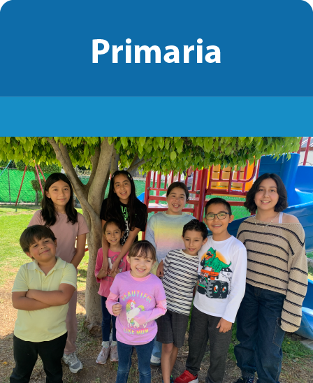 Transición Primaria